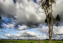 三核合砍85分重回胜轨 湖人力克换帅灰熊.