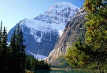 德转列足总杯历史夺冠榜:阿森纳压曼联居首,曼城&维拉各7冠.