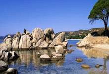 雷竞技官网:乌度卡:狄龙吃2T被驱逐 因为他以为裁判一开始只吹他技术犯规了.